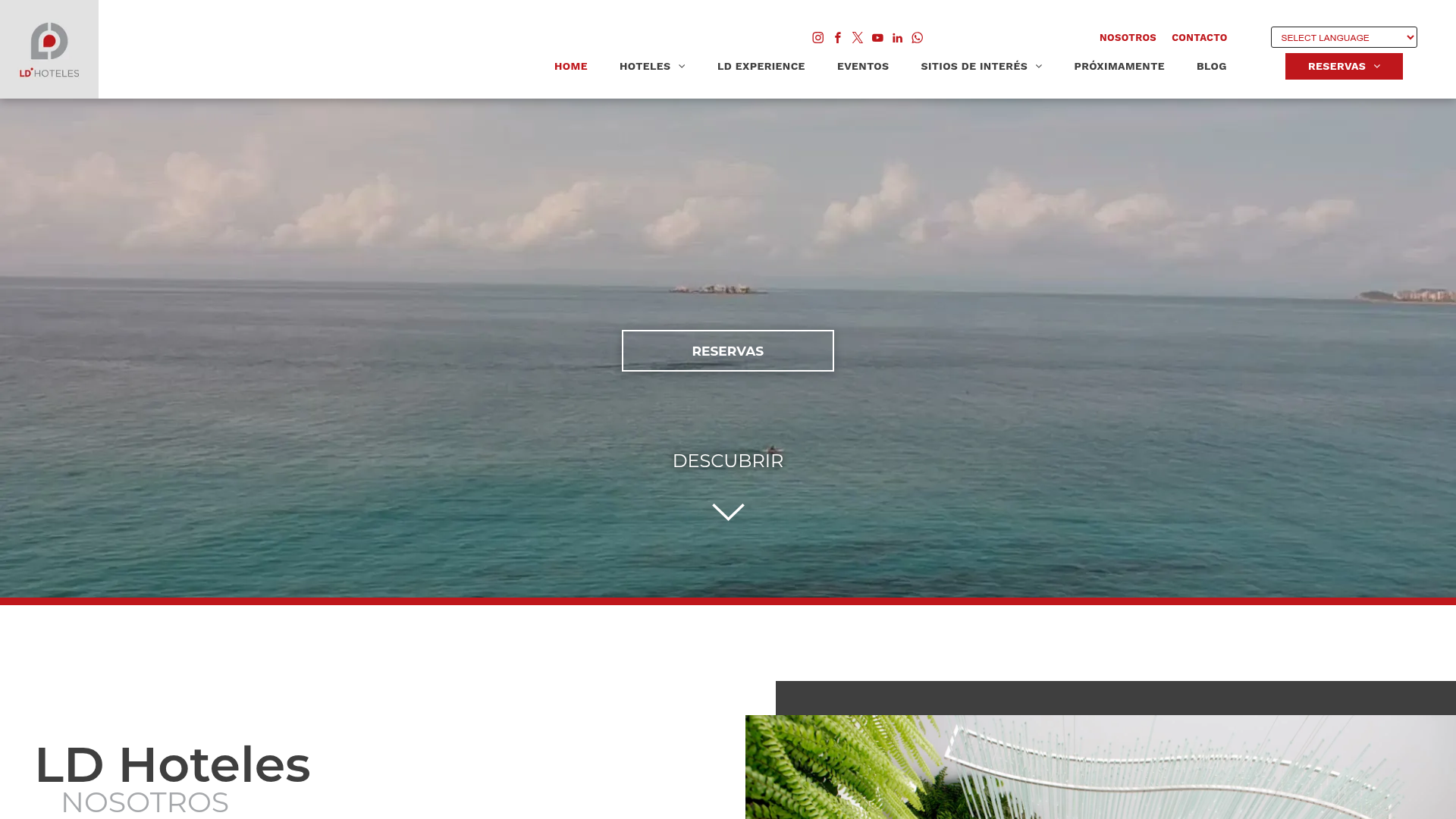 LD Hoteles preview